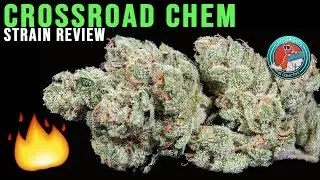 STRAIN REVIEW: ICCOLLECTIVE Crossroad Chem (GAS!!!)