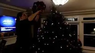 debbietree