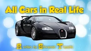 Traffic Racer - All Cars In Real World [HD]
