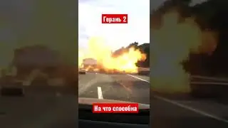 На что способна герань 2