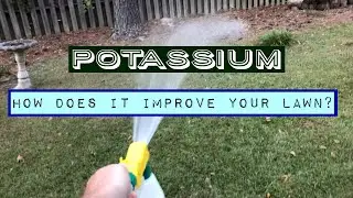 The Benefits of Potassium (K) for your lawn