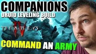 Diablo 4 - COMPANIONS Druid Build (VERY FAST LEVELING) Season 10 Guide