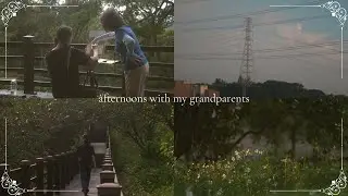Four vignettes: afternoons with my grandparents in the Taiwanese countryside | 台灣鄉村