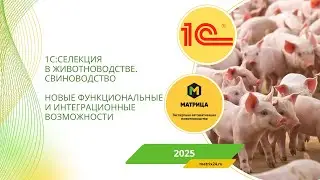 Вебинар 