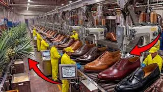From Pineapple to Premium Shoe! Discarded leaves become leather stronger than animal leather 🍍