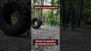 Тренування з колесом. Тренування на все тіло