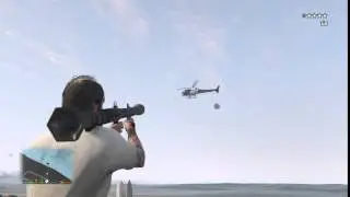 Grand Theft Auto V - Bird Down