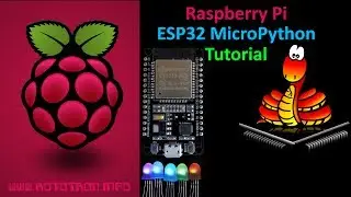 ESP32 MicroPython Tutorial with Raspberry Pi