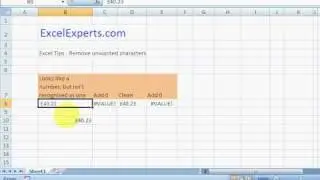 ExcelExperts.com - Excel Tips - Remove unwanted characters