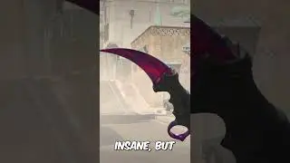 CS2 Made His Karambit Flawless...