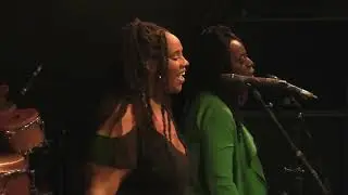 JAMAICA PAPA CURVIN
