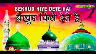 Be Khud kiye Dete hai | Sarkar Durra Hasan Shah Waris (R.A) Alampanah | Murli Sharif