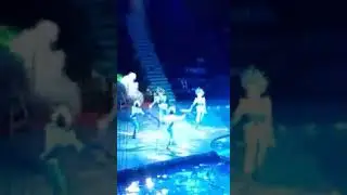 Поездка в цирк на воде