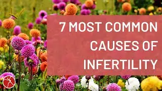 The 7 Most Common Causes of Infertility