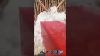 Месть кланам раст