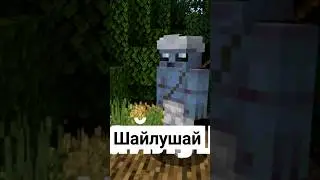 ШАЙЛУШВЙ 