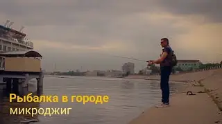 Микроджиг на Неве. Рыбалка в городе.