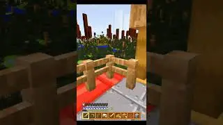 Minecraft MA sono Sonic P.4 #shorts #sonic