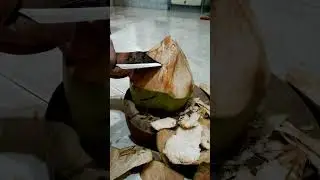 split the coconut