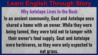 Why Antelope Lives In the Bush