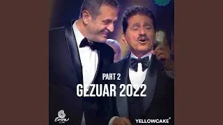 Dyshja Ideale