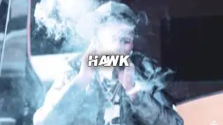 “HAWK