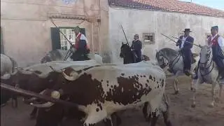 Торада в Португалии