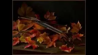 Мария Лукач - Скрипка