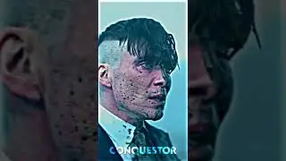 THOMAS SHELBY SIGMA
