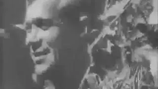 Гогунский - Журавли