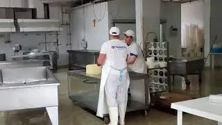 Cheese factory