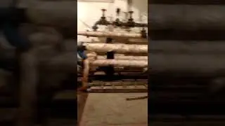 Фогация. Дезинсекция. Дератизация.