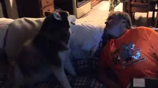 Mela Talking wanna bone ?
