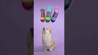 THE LIL GULP Doggy Water Bottle on Kickstarter #dog #dogs #dogtoys #short