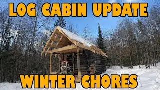 Log Cabin Update and Winter Farm Chores !