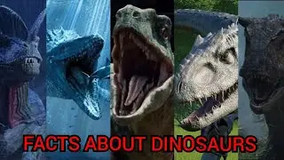 Facts About Dinosaurs That'll Blow Your Mind
