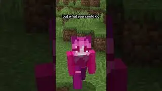 How To ACTUALLY Transport Villagers In Minecraft!