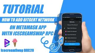 Tutorial How To Add Bitgert Network On Metamask