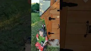 Обратная связь от клиентов 🔥скумбрия и куриные грудки 