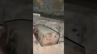 Imagine finding this in your attic...