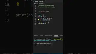 Python Challenge Can You Count Vowels in a String 🔥