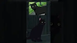These anime characters look kinda similar?