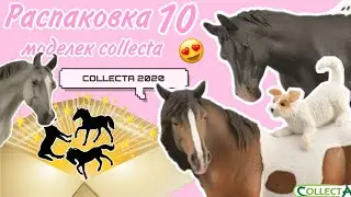 COLLECTA 2020 | Большая распаковка лошадей CollectA