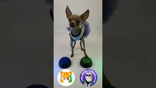 с кем снять видео?