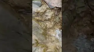 ପ୍ରକୃତିର ସୋଉନ୍ଦର୍ଯ୍ୟ ରୂପ
