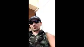 Live Stream