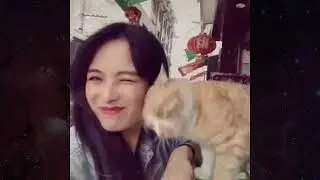 Funny Animal ^_^ Веселые и смешные животные, коубы с животными | Coub