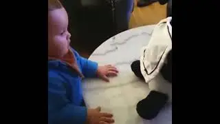 Cute Baby | Baby Reaction to Panda Toy | Funny Videos