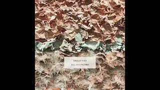 Cable Ties - Change (Official Audio)