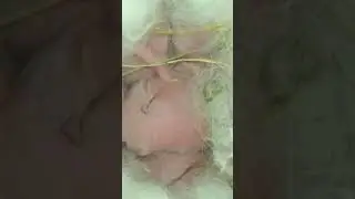 два